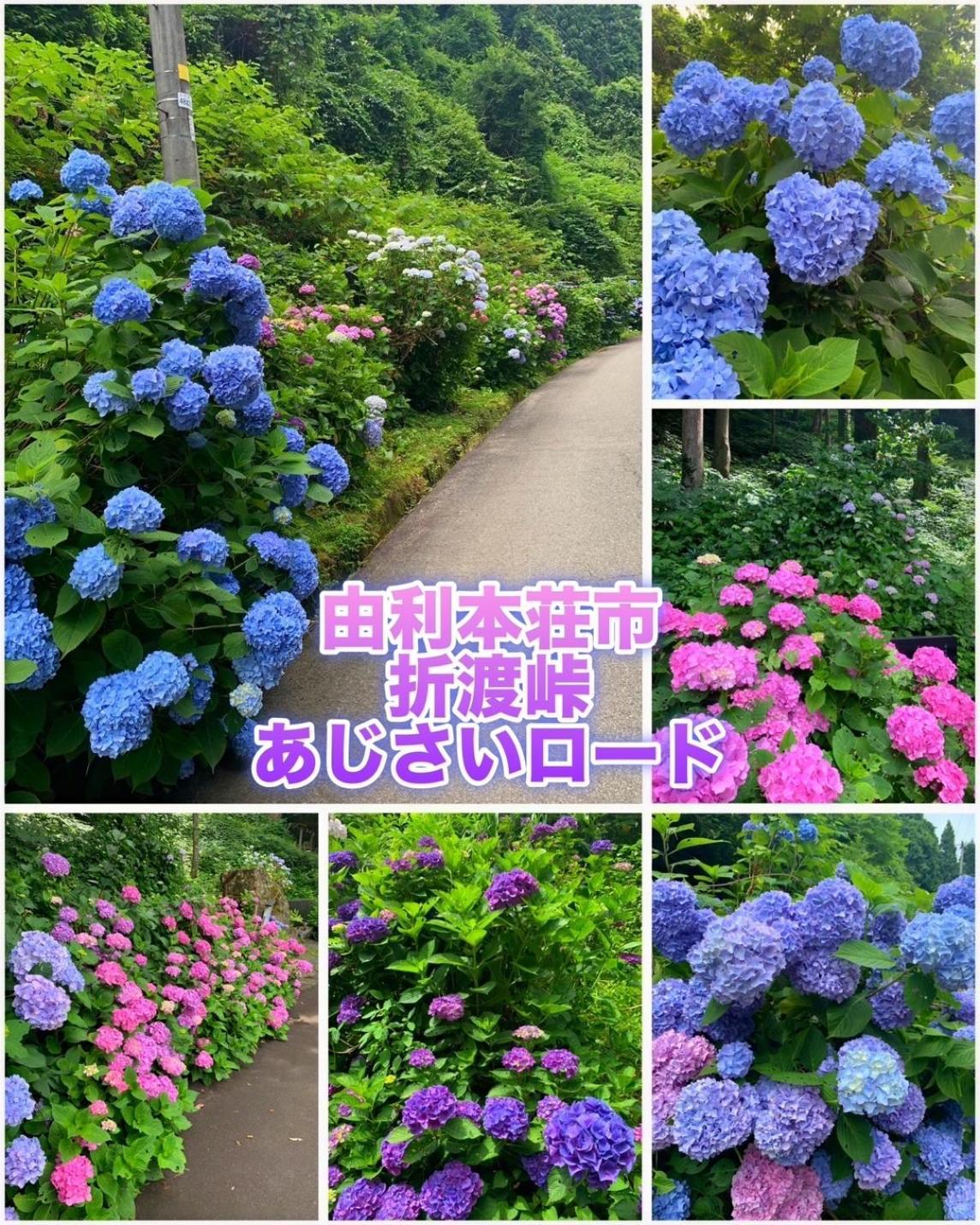 Hotel Dolphia-Adult Only Daisen  Luaran gambar