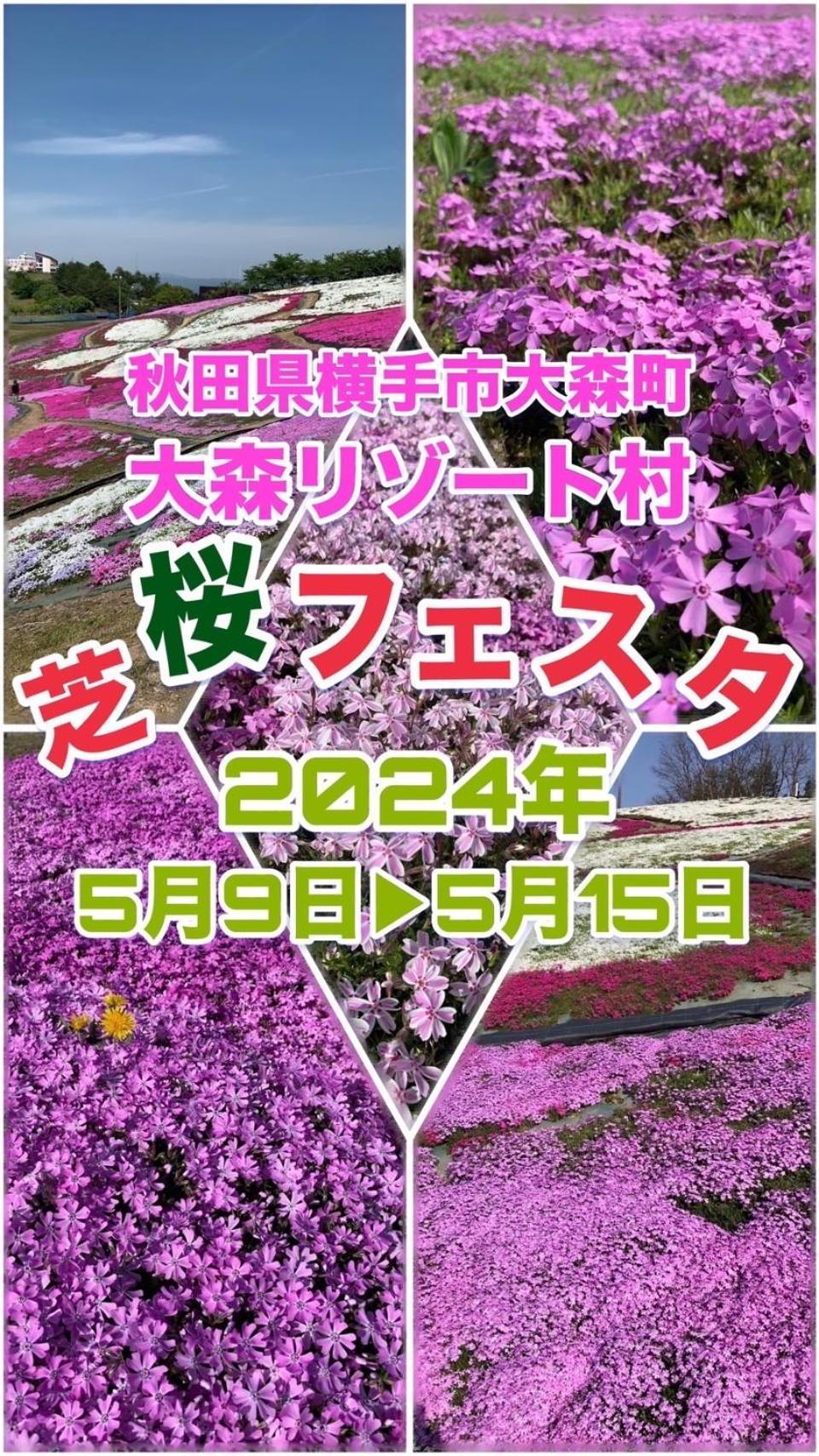 Hotel Dolphia-Adult Only Daisen  Luaran gambar